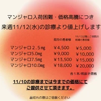 画像366
